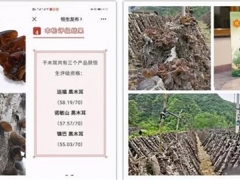 镇巴黑木耳入选恒生评级资格农产品 ()