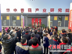十堰郧阳香菇产业喜添“国”字招牌 ()