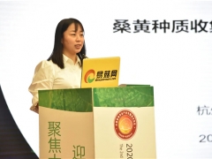 宋吉玲：应加强现有桑黄资源保护 探索适合我国桑黄品种的栽培基质 ()