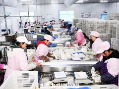大方县：食用菌叩开“致富门” ()