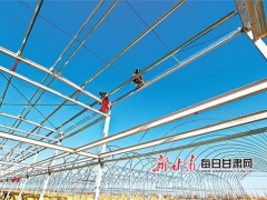 甘肃临泽县食用菌工厂化栽培生产车间加紧建设 ()