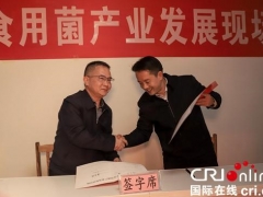 盘水：食用菌产业发展呈良好态势 ()