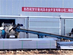 甘肃临泽县食用菌产业园鸿泽农业二期工程顺利建成投产 ()