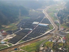 羊肚菌采风第一站：贵州铜仁万山区敖寨乡羊肚菌基地 ()