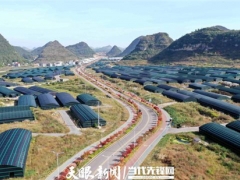 安龙：食用菌产业成为乡村振兴支撑点 ()