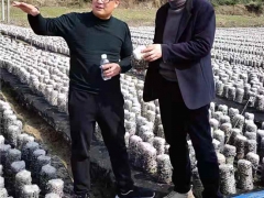 湖北省远安县食用菌协会赴房县考察学习食用菌产业发展 ()