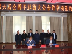 易菇网与舟曲县就2021第六届全国羊肚菌大会有关事项签订合作协议 ()