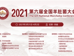 【接站方案】2021第六届全国羊肚菌大会 ()