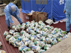 湖北省农科院食用菌团队发明一种香菇专用保鲜材料 ()