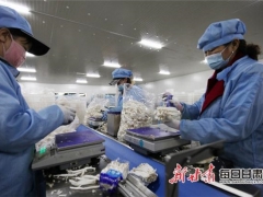 甘州食用菌产业定了一个“十四五”小目标 ()