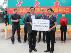 广西大学食用菌特色产业基地落户海城区 ()