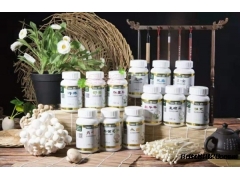 真菌多糖鲍鱼菇玉临风食用菌产品春芝堂为您服务