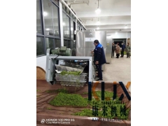 400型多层微波茶叶杀青机