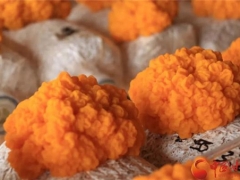 甘肃：珍稀食用菌“金耳”在临夏州试种成功 ()