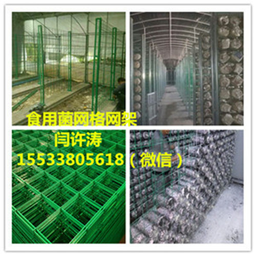 出菇网格架安装摆放