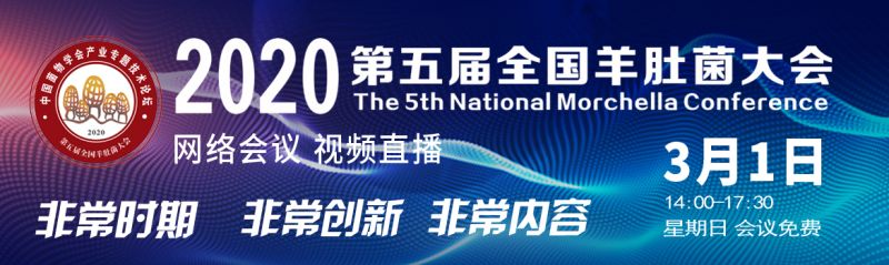 2020第五届全国羊肚菌大会
