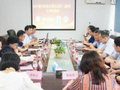 向大健康、绿色环保方向迈进 上海食用菌产业发展离不开“科技力量” ()