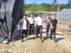 华中农业大学边银丙教授前往湖北房县调研指导木耳和羊肚菌产业基地 ()