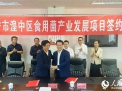投资5亿元！西宁市湟中区食用菌产业迎来提档升级 ()