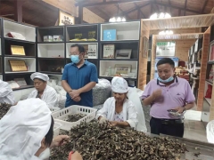 绵阳经科菌业：努力打造“经科”品牌，全面推广食用菌