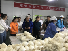 甘肃武威：中国蔬菜流通协会专家组赴武威市调研食用菌产业发展工作