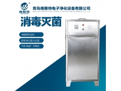 食品车间臭氧发生器 空间消毒臭氧杀菌机