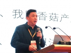 边银丙:走出随州特色的香菇产业高质量发展路子