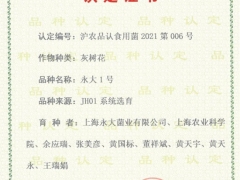 永大菌业杂交姬菇和舞茸通过上海市新品种认定