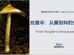 2022菌物知识网络课堂开讲：丝盖伞——从属到科的变化