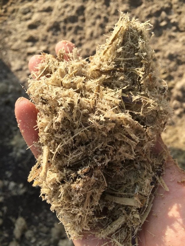 甘蔗渣 甘蔗下脚料 甘蔗皮 甘蔗肥 蔗渣