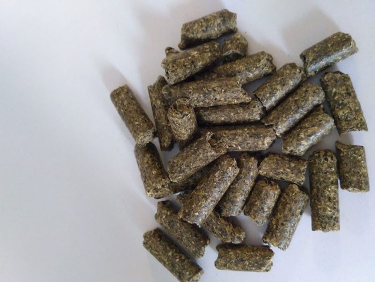 甜菜粕棉粕，甘蔗渣啤酒糟样品，甘蔗渣牛粪大豆皮米糠油糠小麦