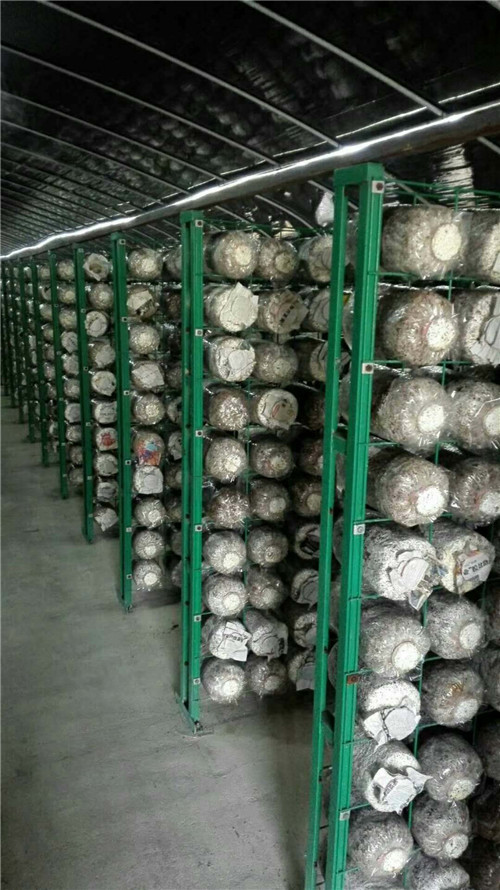 食用菌网格架中网格价格计算公式