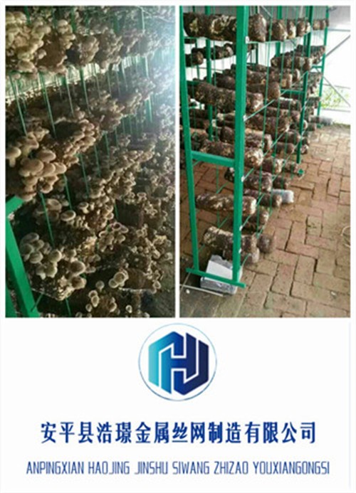 外行如何判断食用菌网格架质量，三点建议拿走不谢