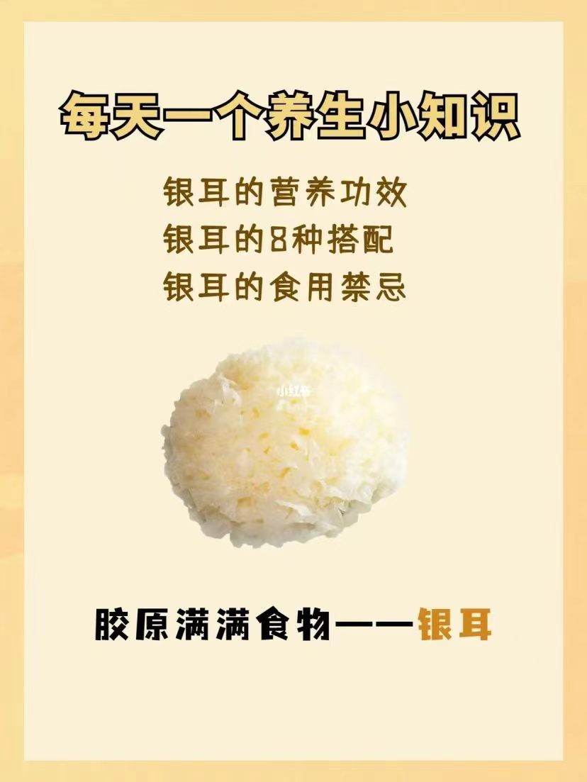 美食行天下 银耳进万家 雪菲宠耳银耳 健康营养搭配