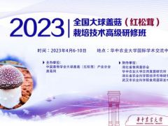 关于举办“2023第二期全国大球盖菇（红松茸）栽培技术高级研修班”的通知