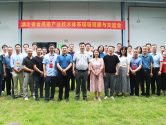 武汉举办食用菌产业技术交流及现场观摩会