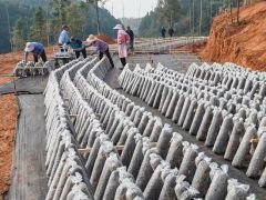 安徽这个县建设食用菌上山数字基地,打造3D种植