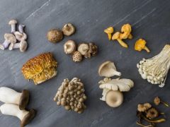 研究人员揭示食用菌多糖抗辐射机理