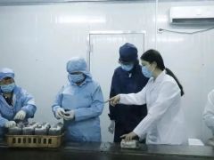 江西应用技术职业学院翘鳞香菇团队首创全数字感知生态工艺