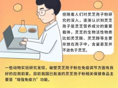 “青出于蓝而胜于蓝”的破壁灵芝孢子粉，你了解多少？