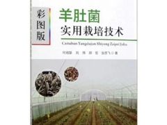 图书推荐|彩图版羊肚菌实用栽培技术