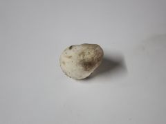 稻草也能种“草菇”，技术分享！