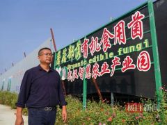 能人回村建设千万产值的“蘑菇部落”，创造村成为令人向往的“梦想村”