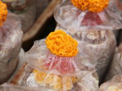 北庄镇“金耳”菌试种获丰收 菌香飘满致富路