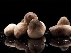 这样培育草菇菌种，生物活性强、产量高