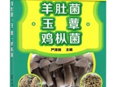 图书推荐|名贵珍稀菇菌栽培新技术丛书：羊肚菌·玉蕈·鸡纵菌