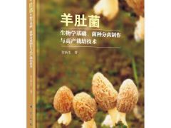 图书推荐|羊肚菌生物学基础、菌种分离制作与高产栽培技术