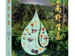 图书推荐|《云南野生菌》