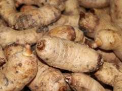 滇产国内首款天麻焙烤食品销往澳门