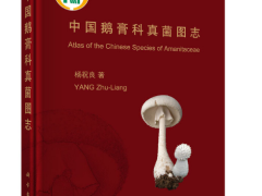 图书推荐|中国鹅膏科真菌图志